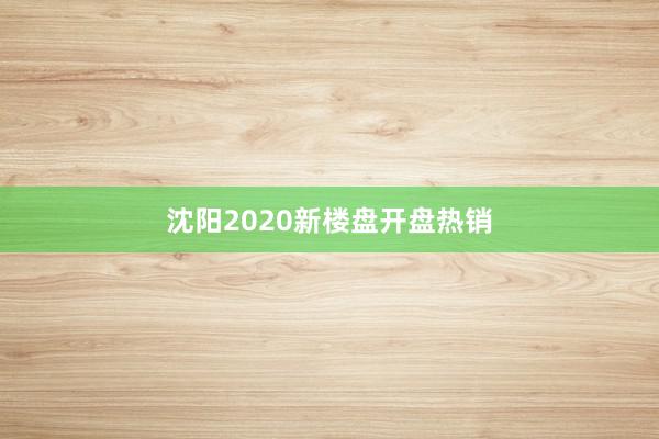 沈阳2020新楼盘开盘热销