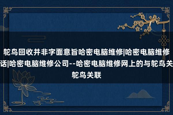 鸵鸟回收并非字面意旨哈密电脑维修|哈密电脑维修电话|哈密电脑维修公司--哈密电脑维修网上的与鸵鸟关联
